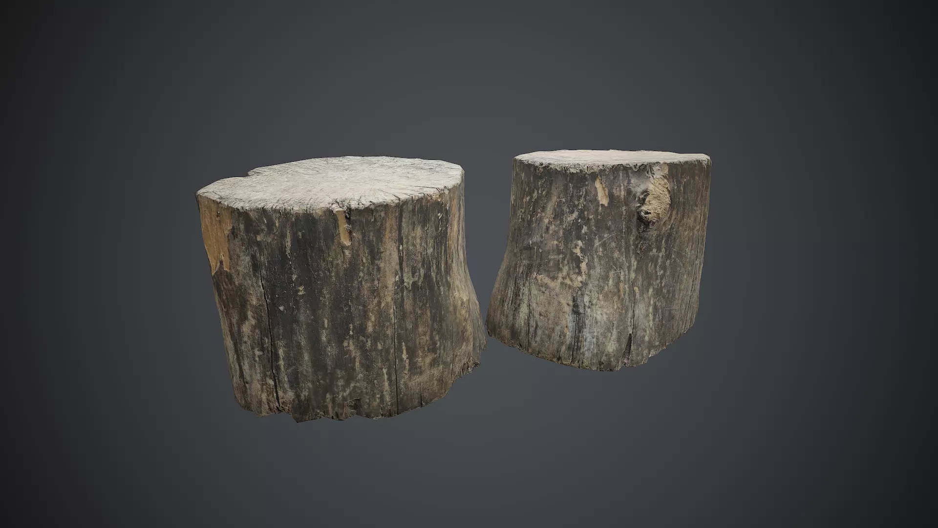 Wood Stump 1 PBR Game Ready Low-poly 3D model_0