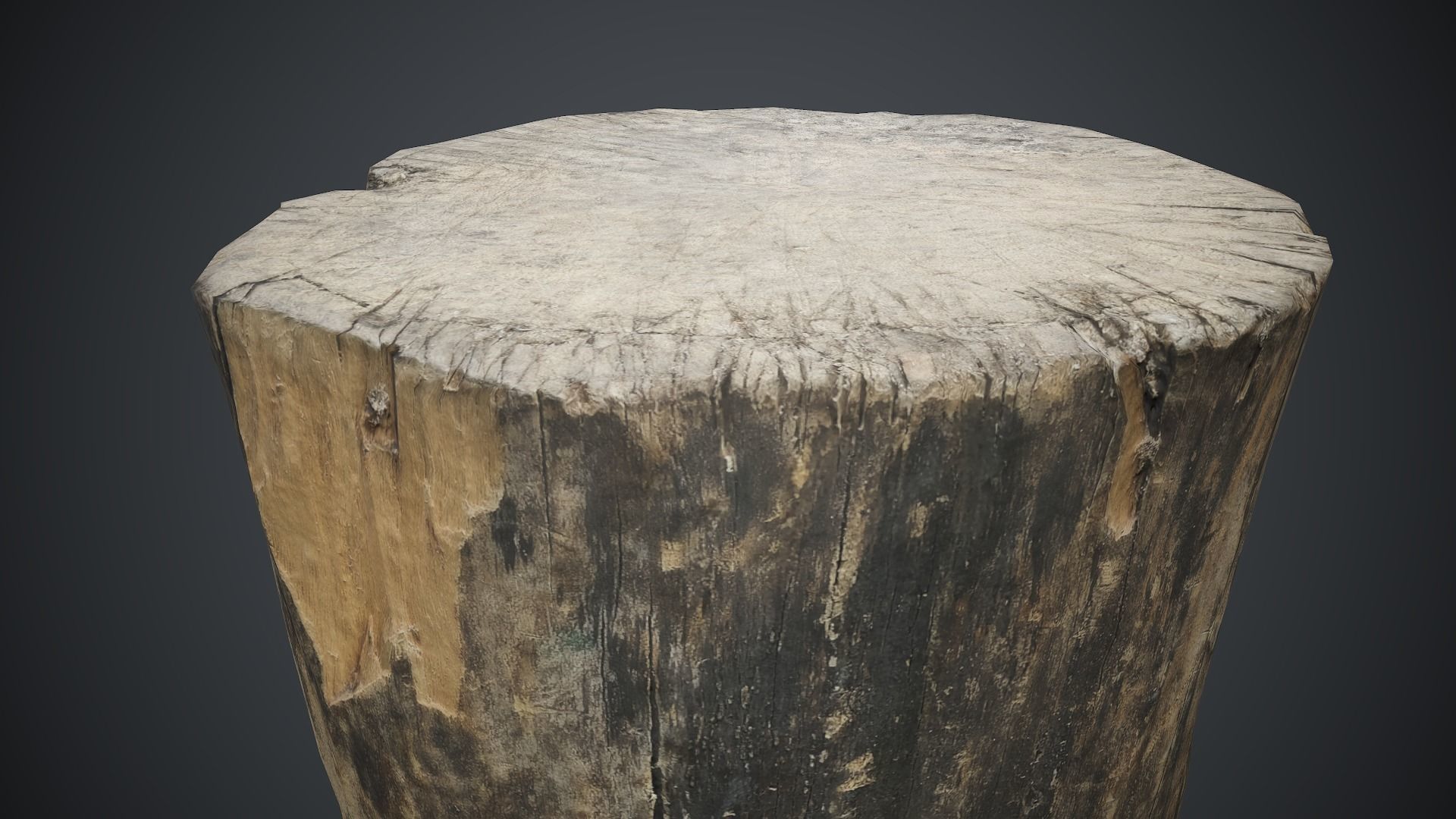 Wood Stump 1 PBR Game Ready Low-poly 3D model_8