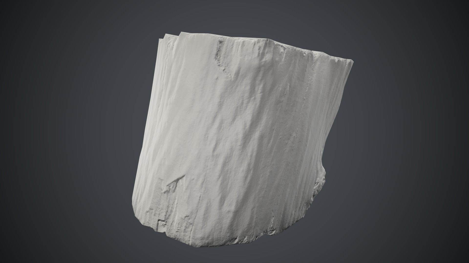 Wood Stump 1 PBR Game Ready Low-poly 3D model_16