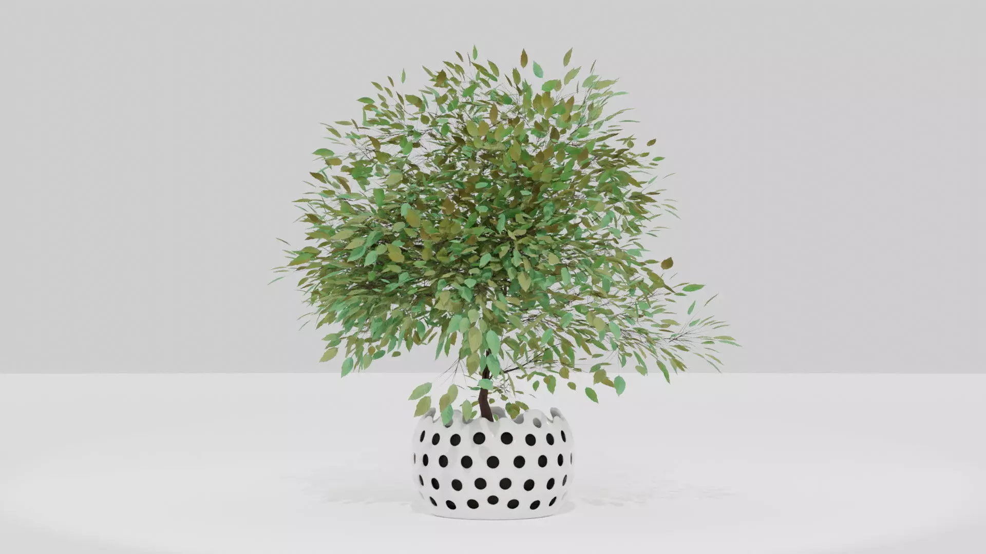 Small Tree in a Pot - Blender 3D model