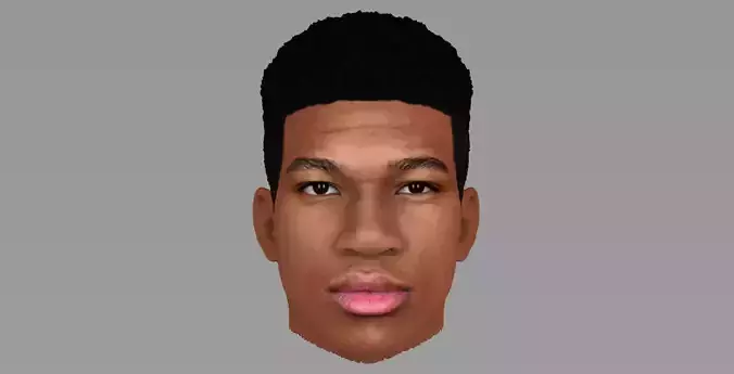 Giannis Antetokounmpo 3D model