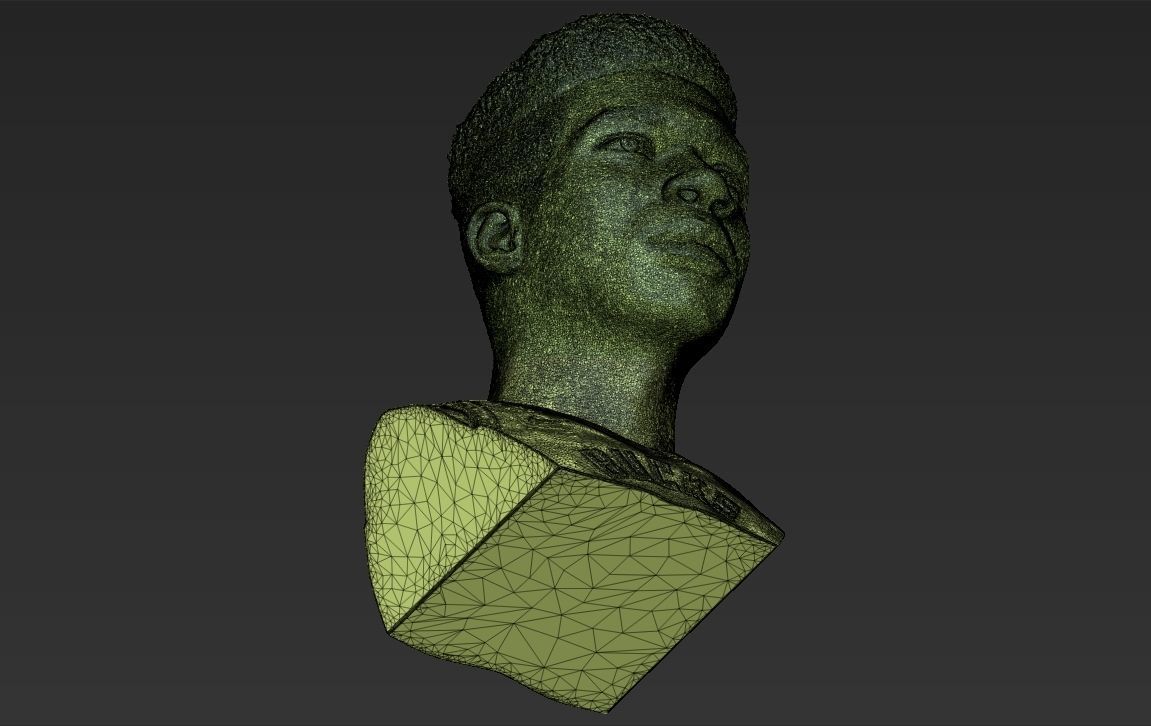 Giannis Antetokounmpo bust ready for full color 3D printing 3D print model_56