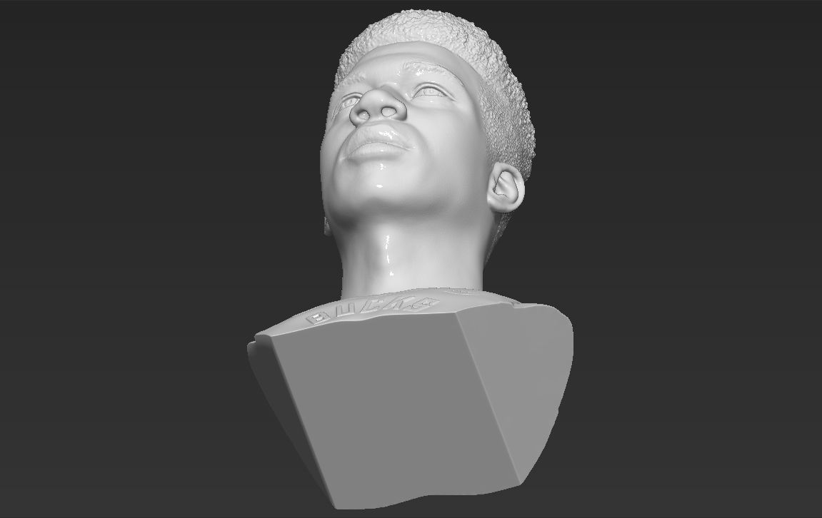 Giannis Antetokounmpo bust ready for full color 3D printing 3D print model_47