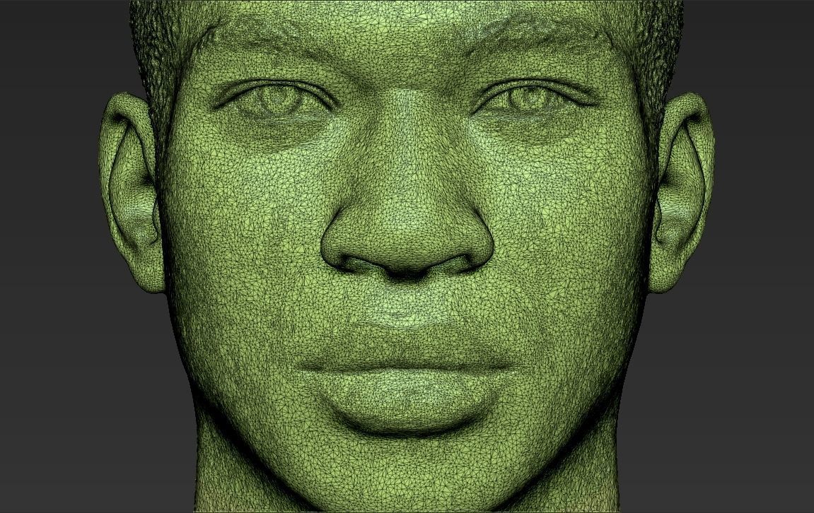 Giannis Antetokounmpo bust ready for full color 3D printing 3D print model_53