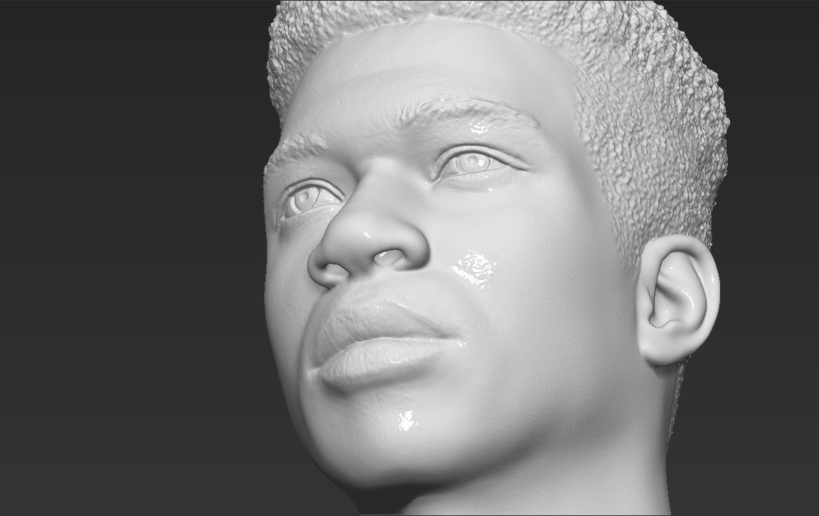 Giannis Antetokounmpo bust ready for full color 3D printing 3D print model_44