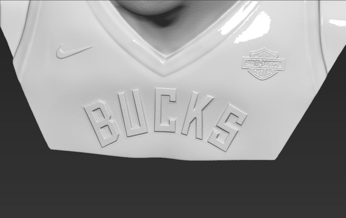 Giannis Antetokounmpo bust ready for full color 3D printing 3D print model_49
