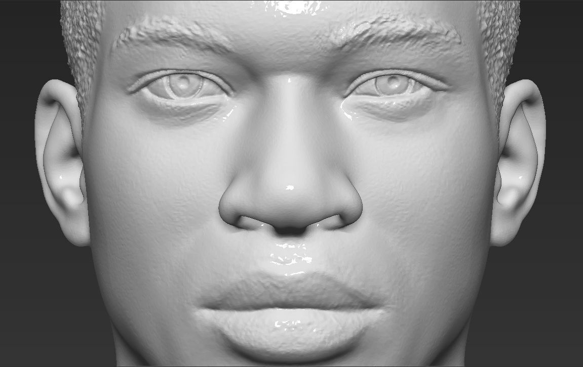 Giannis Antetokounmpo bust ready for full color 3D printing 3D print model_41