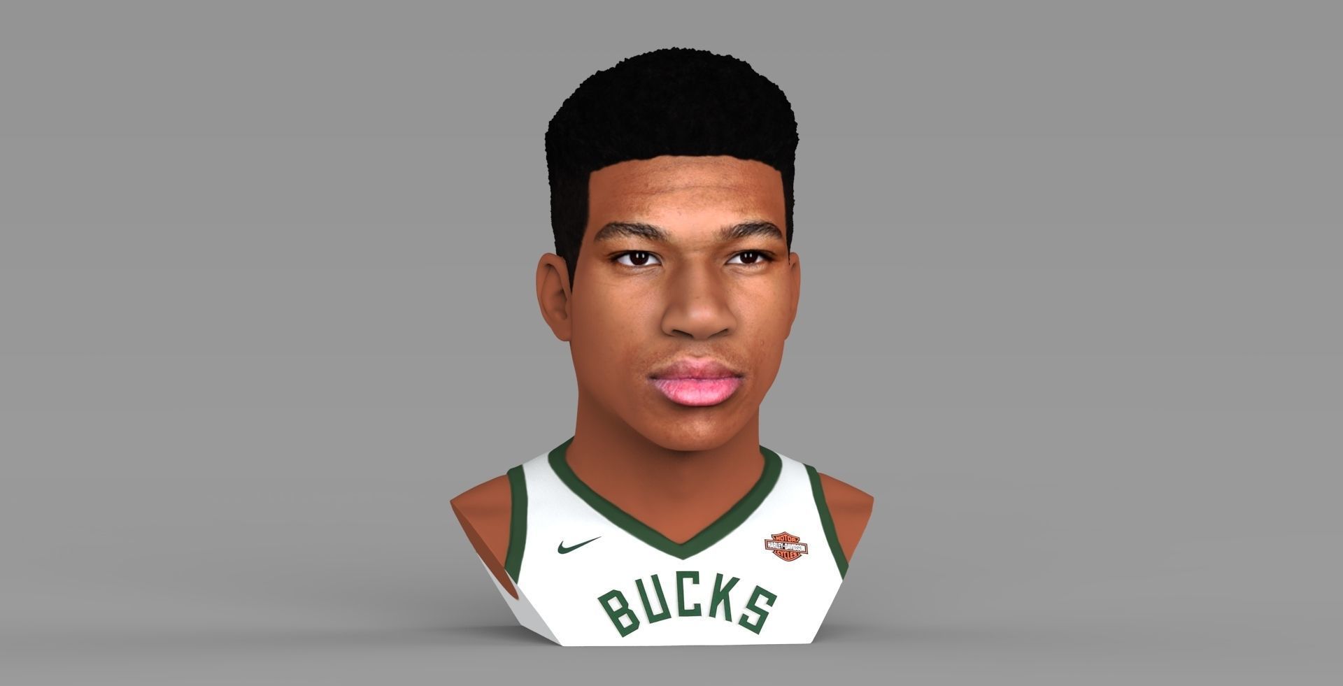 Giannis Antetokounmpo bust ready for full color 3D printing 3D print model_9