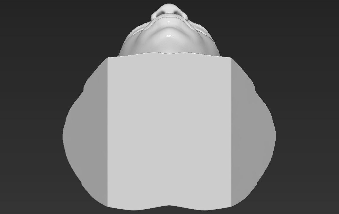 Giannis Antetokounmpo bust ready for full color 3D printing 3D print model_48