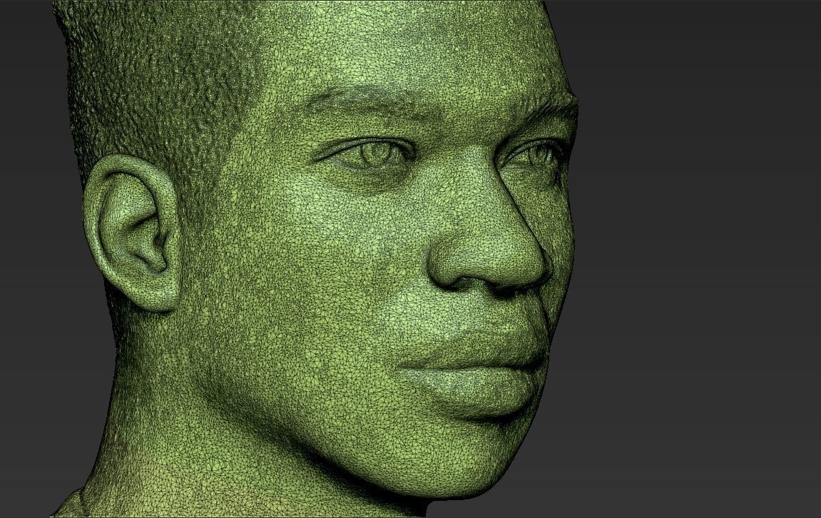 Giannis Antetokounmpo bust ready for full color 3D printing 3D print model_54
