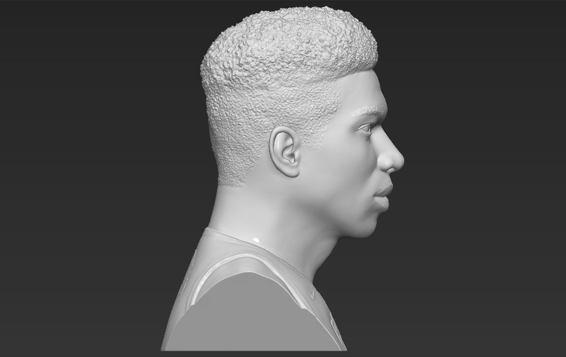 Giannis Antetokounmpo bust ready for full color 3D printing 3D print model_35