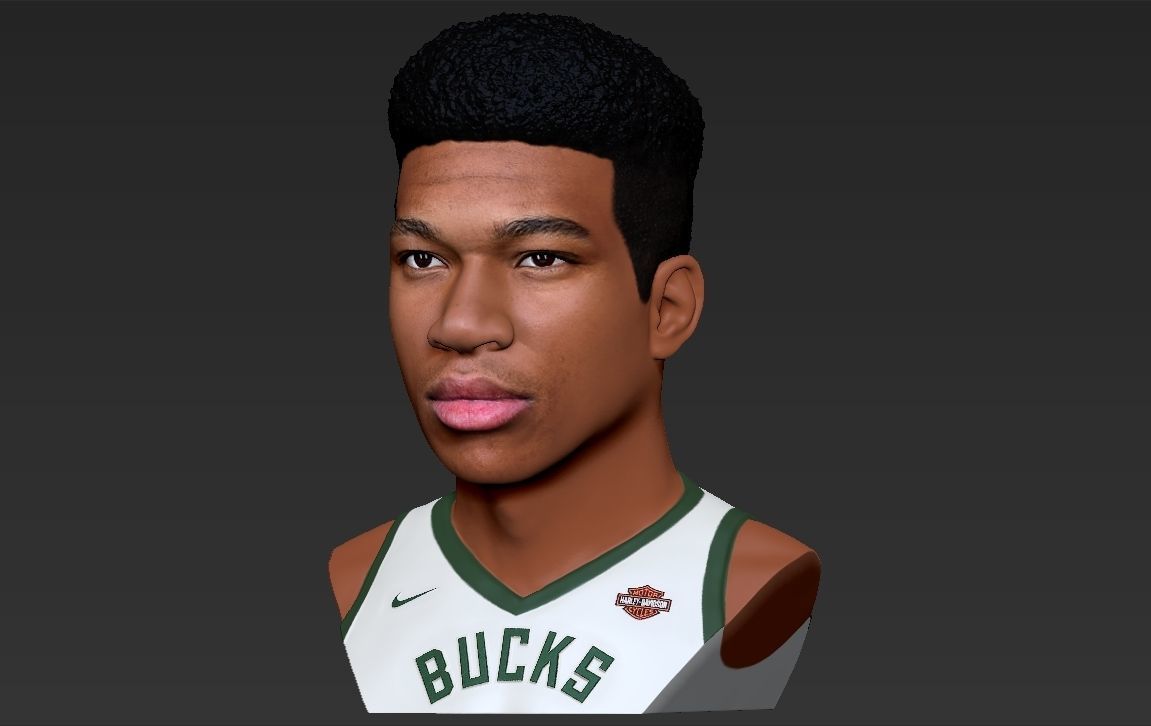 Giannis Antetokounmpo bust ready for full color 3D printing 3D print model_19