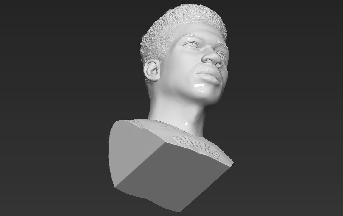 Giannis Antetokounmpo bust ready for full color 3D printing 3D print model_46
