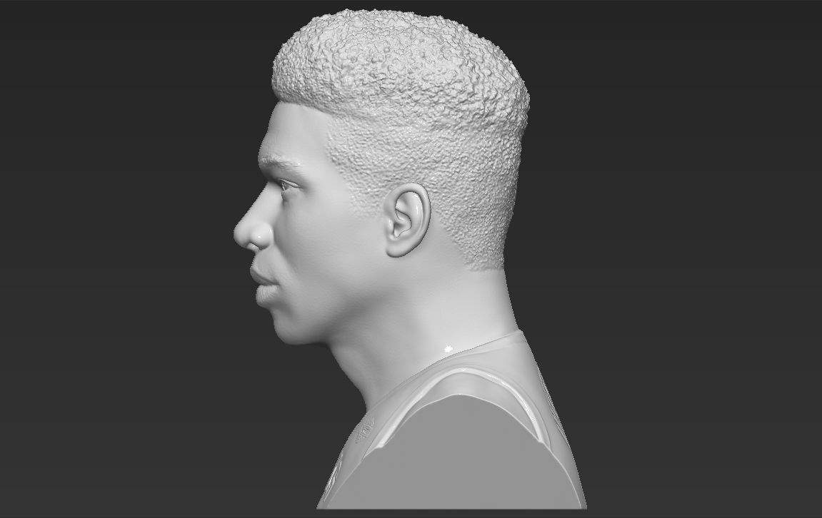 Giannis Antetokounmpo bust ready for full color 3D printing 3D print model_31