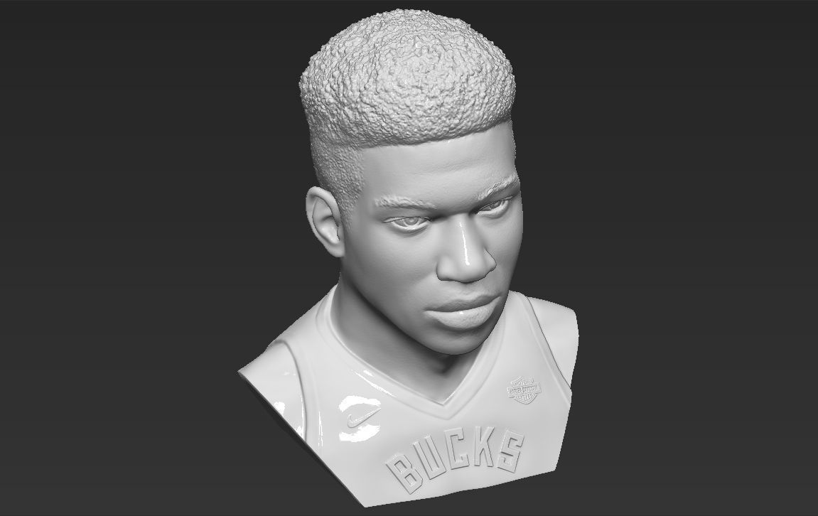 Giannis Antetokounmpo bust ready for full color 3D printing 3D print model_39