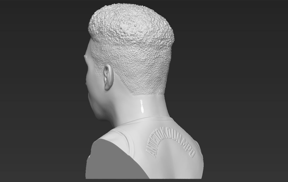 Giannis Antetokounmpo bust ready for full color 3D printing 3D print model_32