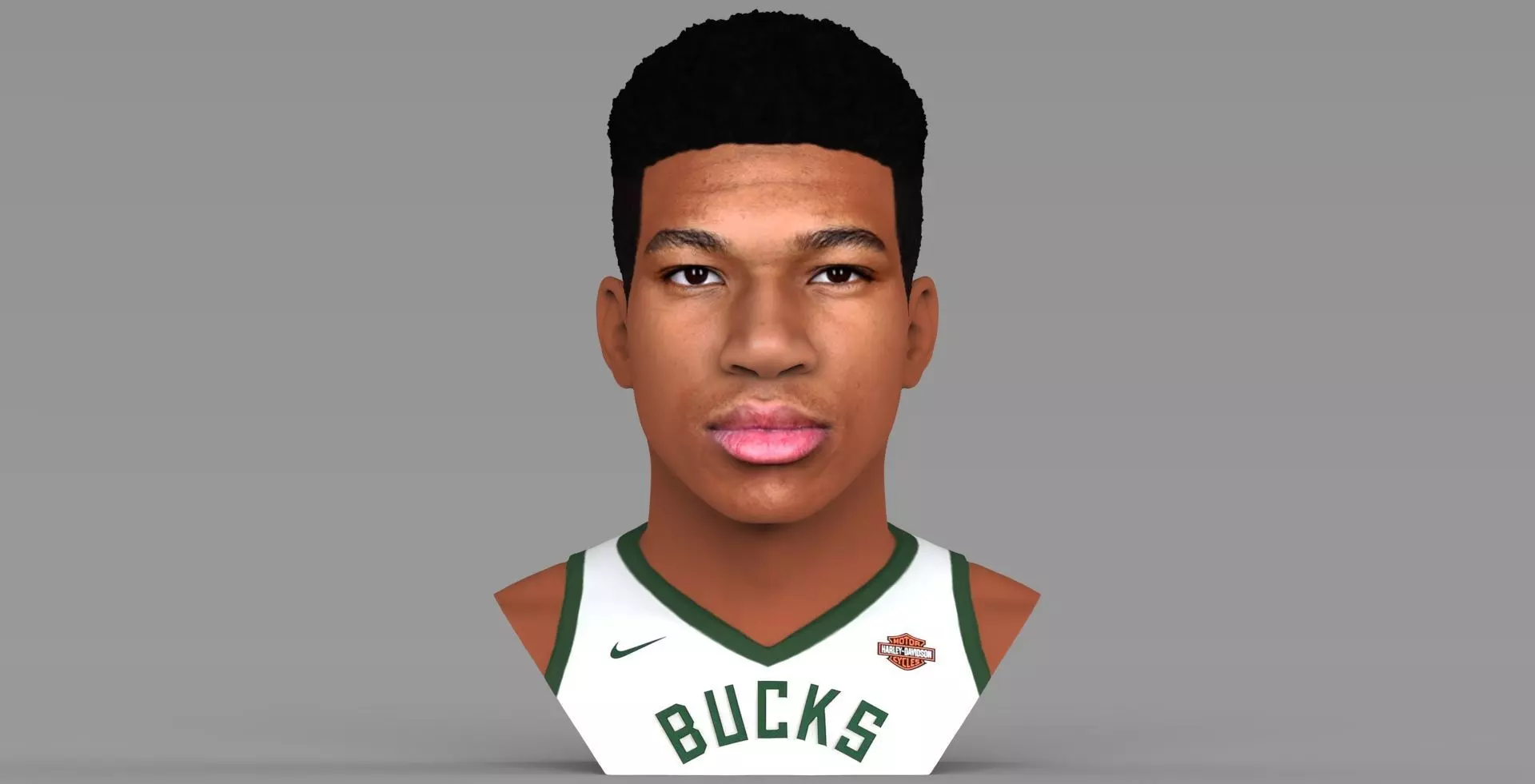 Giannis Antetokounmpo bust ready for full color 3D printing 3D print model_0
