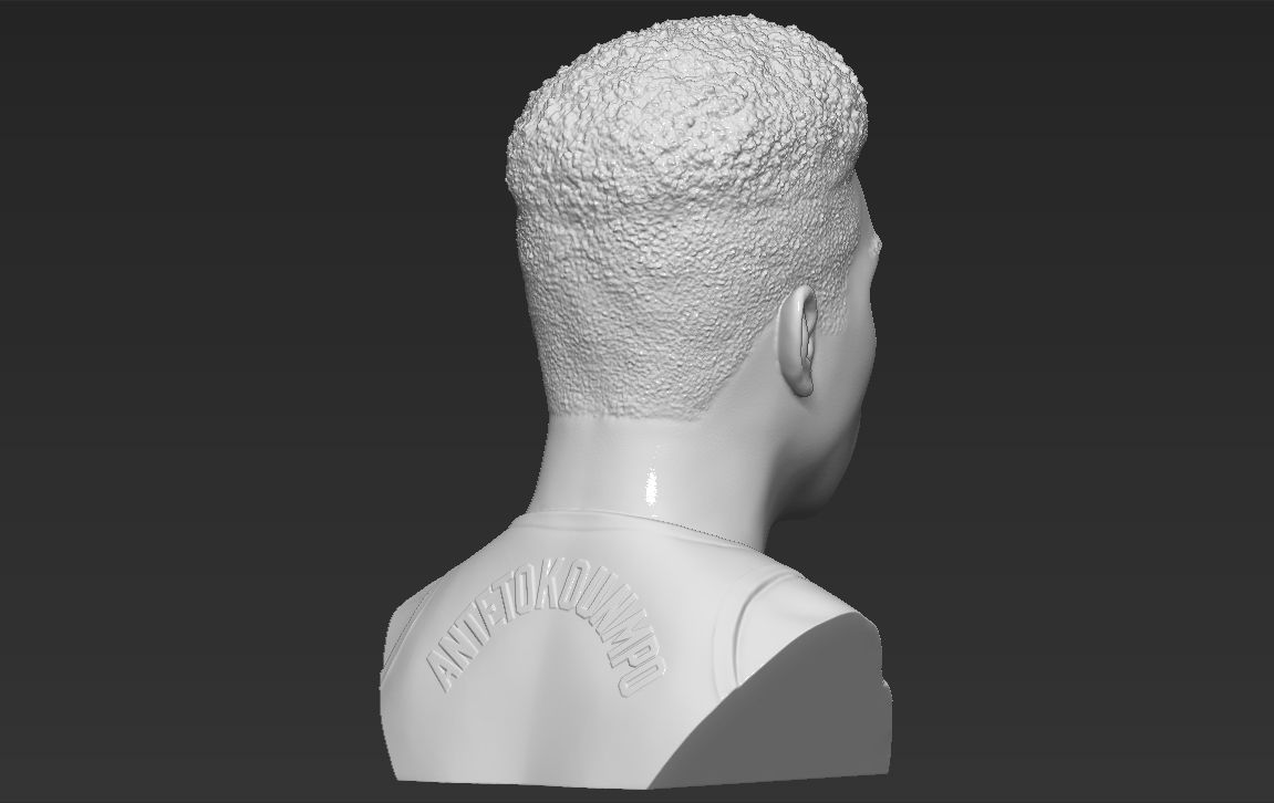Giannis Antetokounmpo bust ready for full color 3D printing 3D print model_34
