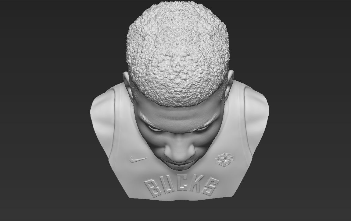 Giannis Antetokounmpo bust ready for full color 3D printing 3D print model_40