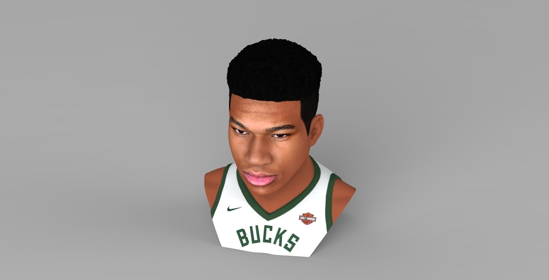 Giannis Antetokounmpo bust ready for full color 3D printing 3D print model_11