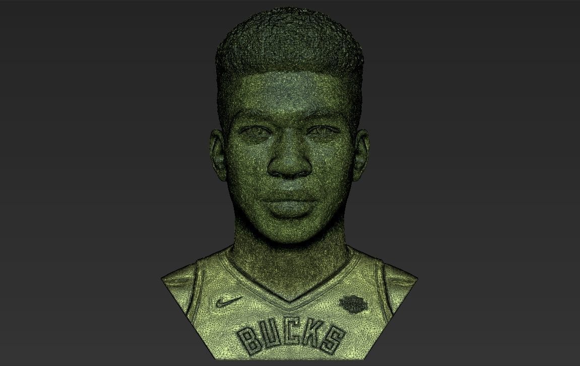 Giannis Antetokounmpo bust ready for full color 3D printing 3D print model_52