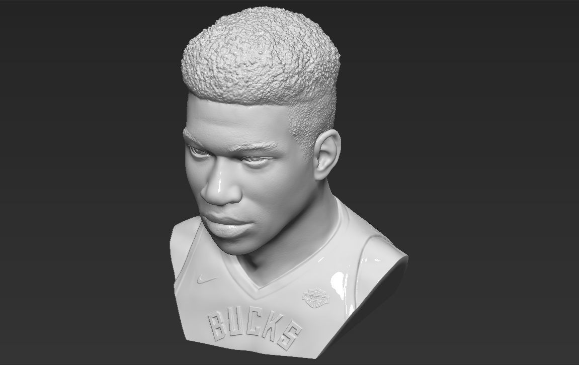 Giannis Antetokounmpo bust ready for full color 3D printing 3D print model_38