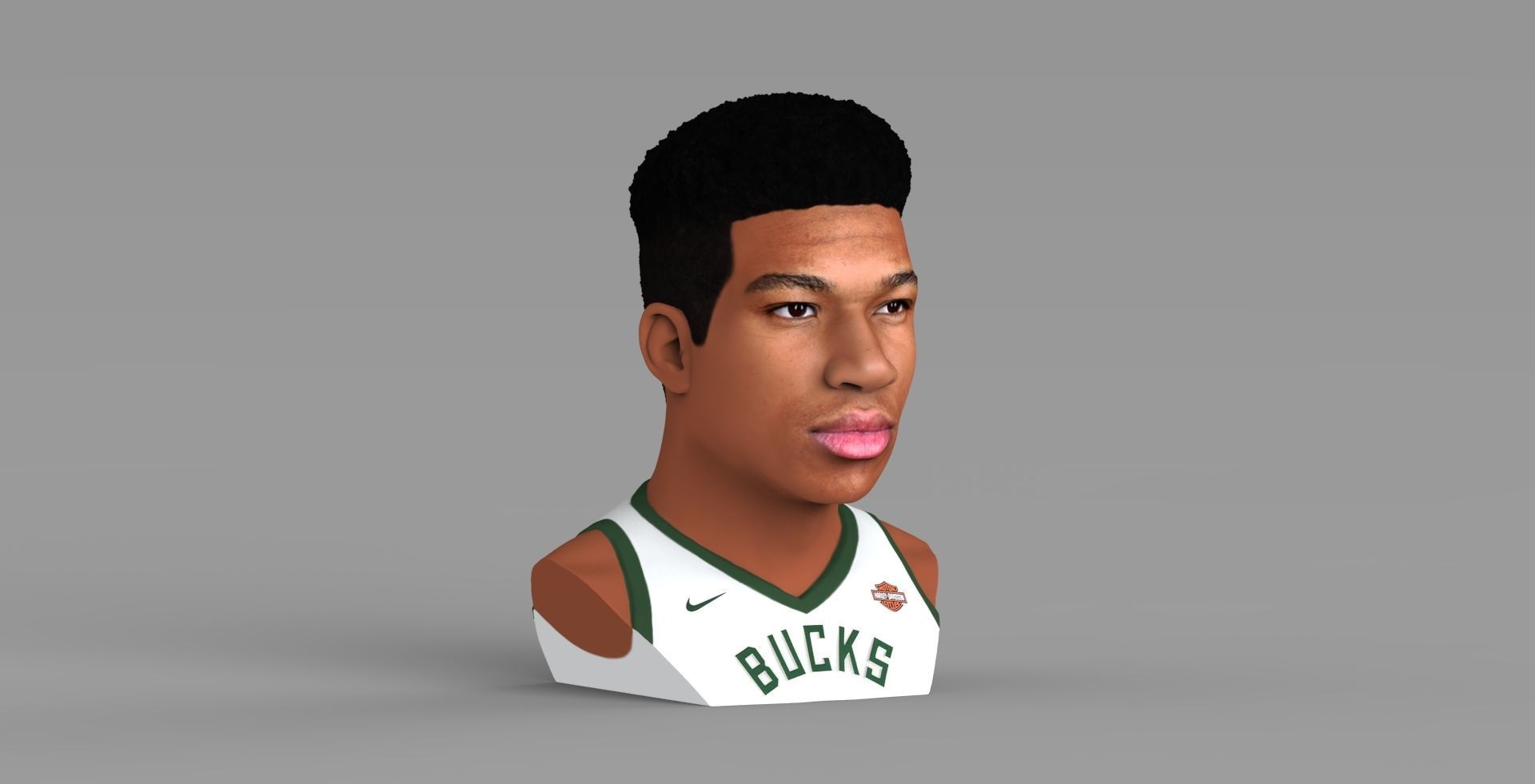 Giannis Antetokounmpo bust ready for full color 3D printing 3D print model_8