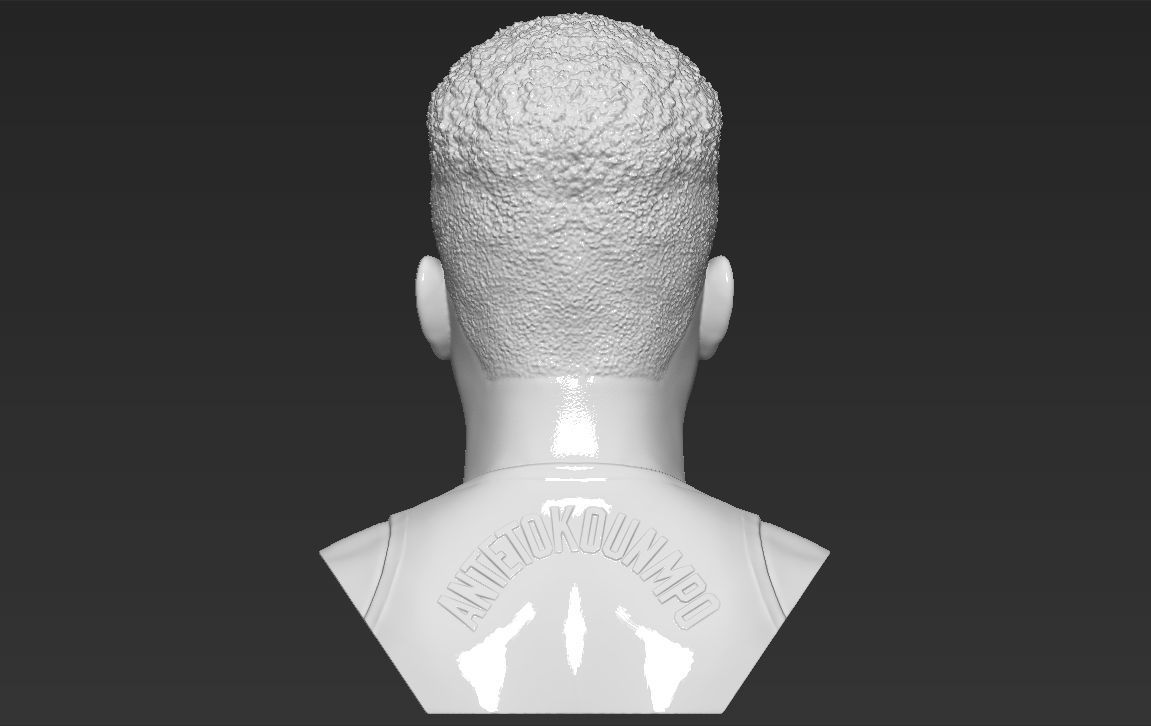 Giannis Antetokounmpo bust ready for full color 3D printing 3D print model_33