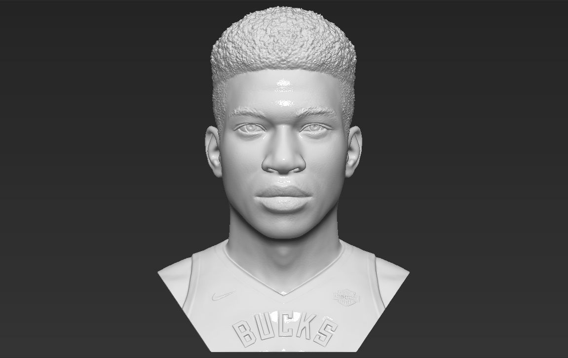 Giannis Antetokounmpo bust ready for full color 3D printing 3D print model_28