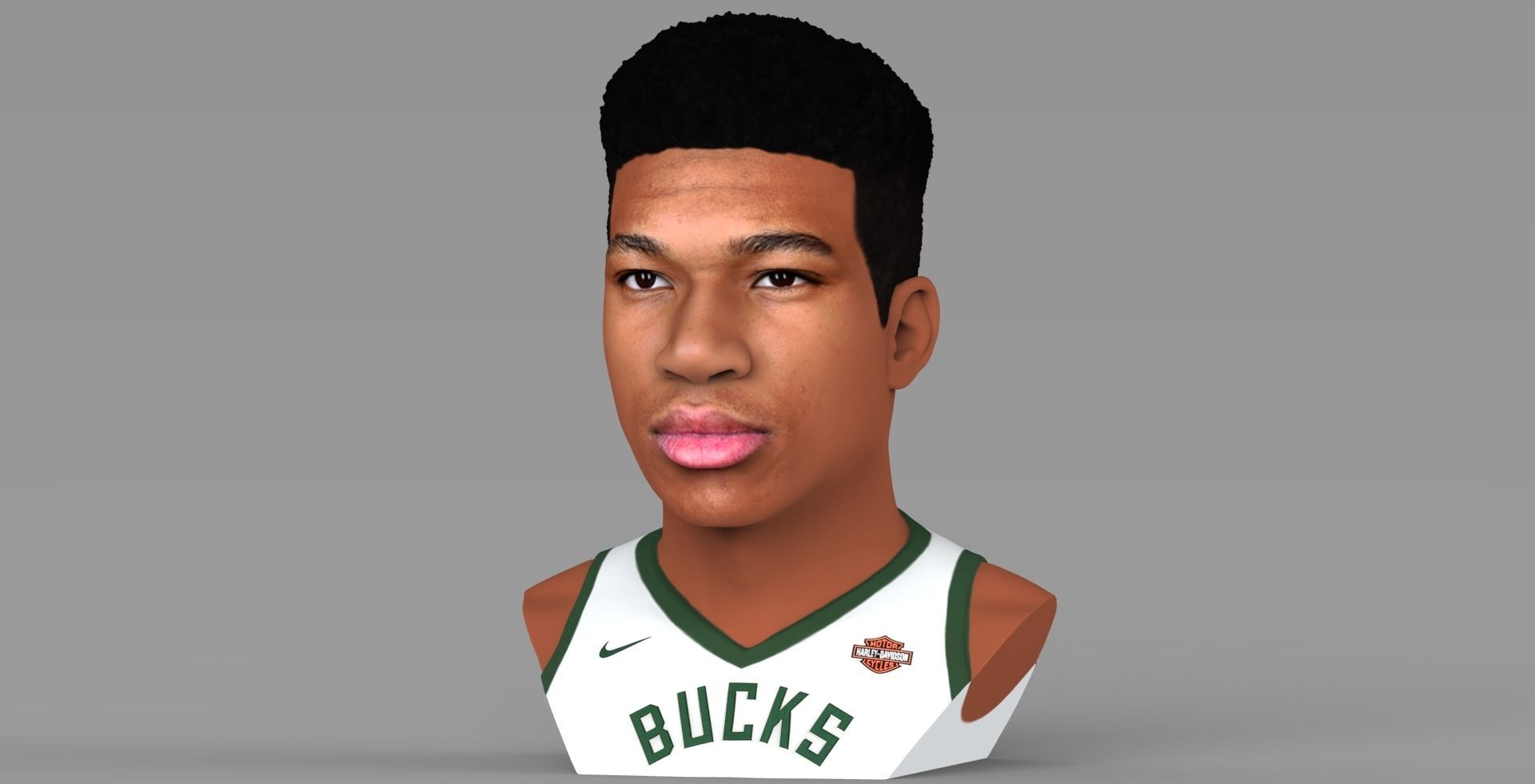 Giannis Antetokounmpo bust ready for full color 3D printing 3D print model_1