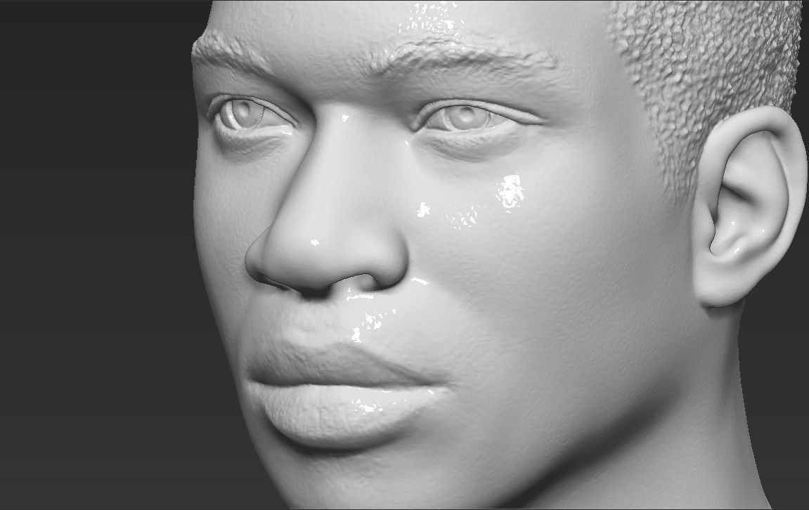 Giannis Antetokounmpo bust ready for full color 3D printing 3D print model_43