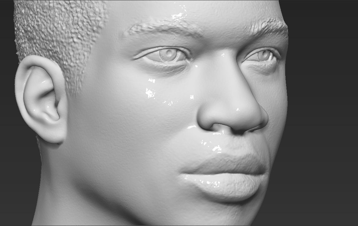 Giannis Antetokounmpo bust ready for full color 3D printing 3D print model_42