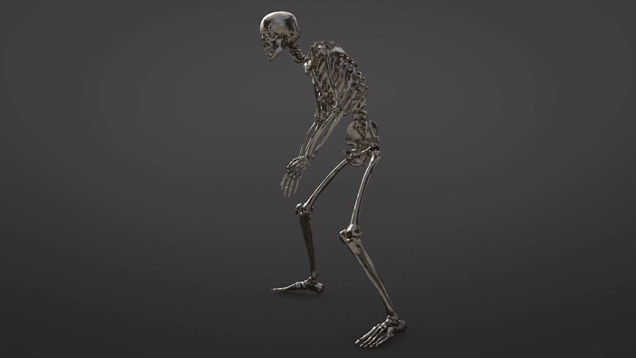 Skeletons Kicking 3D model_4