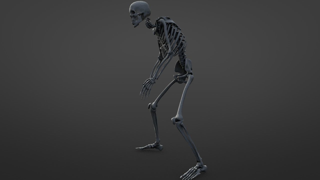 Skeletons Kicking 3D model_2