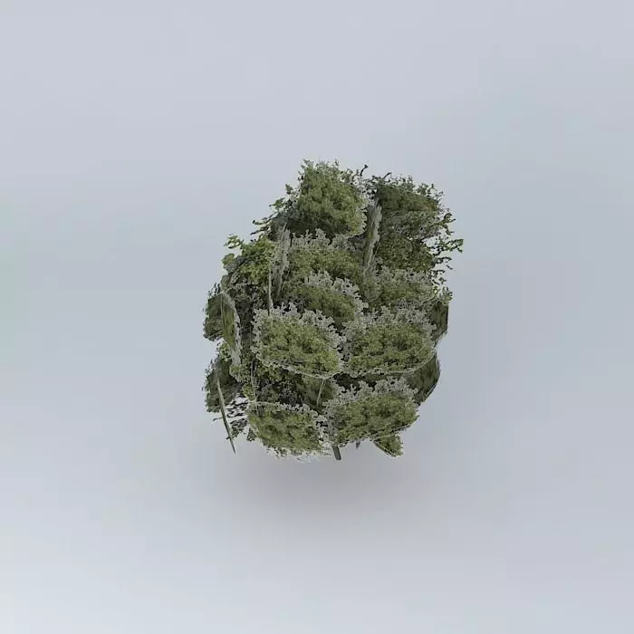 Tree giant model Free 3D model