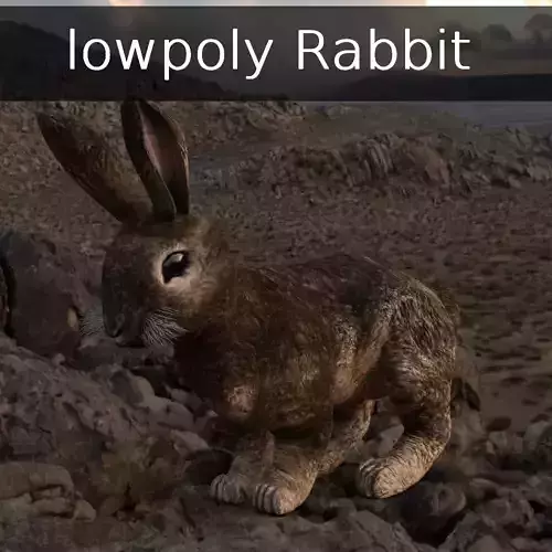 Lowpoly Rabbit two colorful rabbits Low-poly 3D model