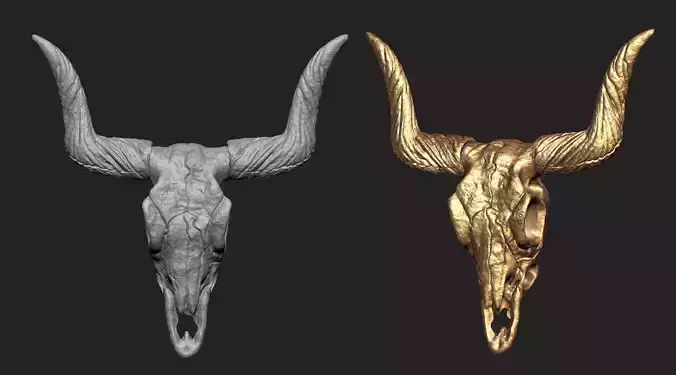 Longhorn Skull   3D print model