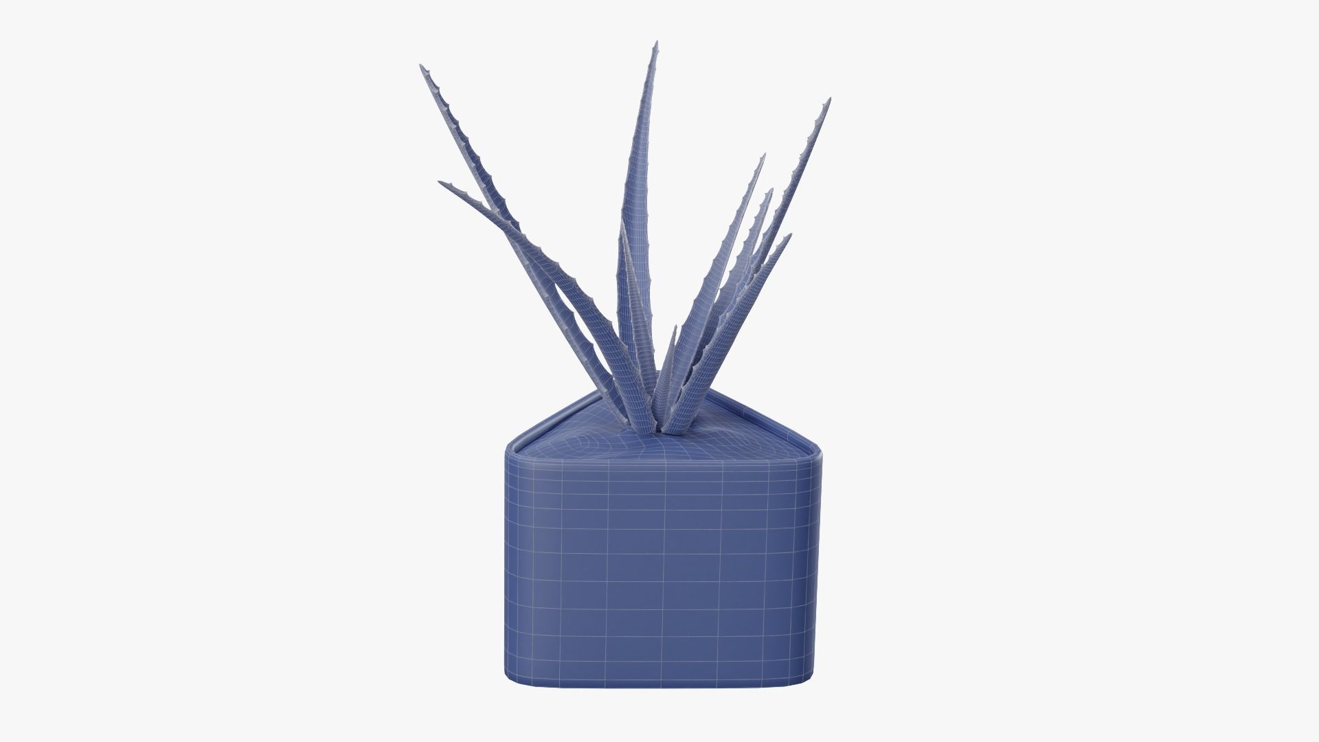 Plant 3 aloe vera 3D model_13