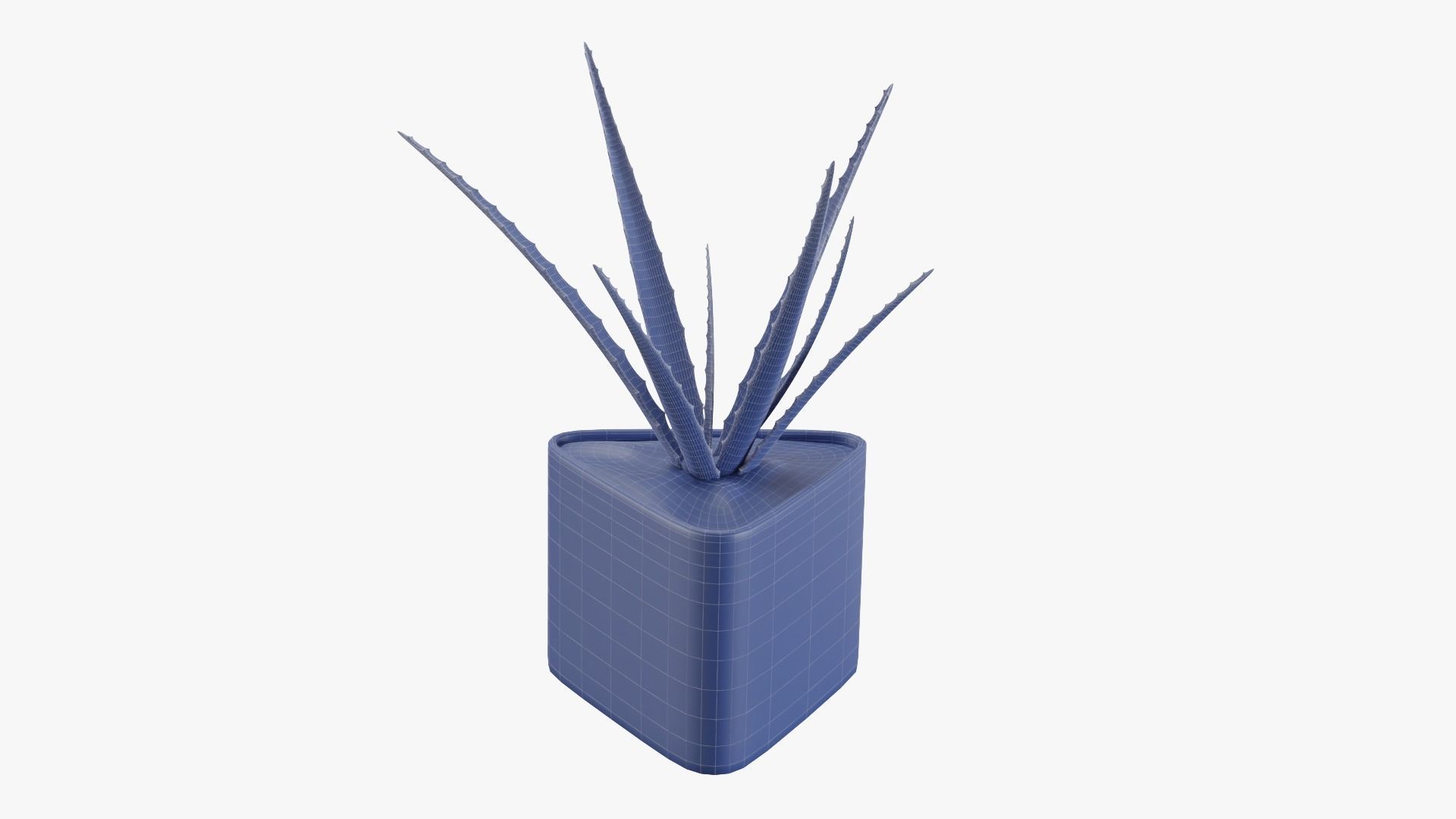 Plant 3 aloe vera 3D model_14