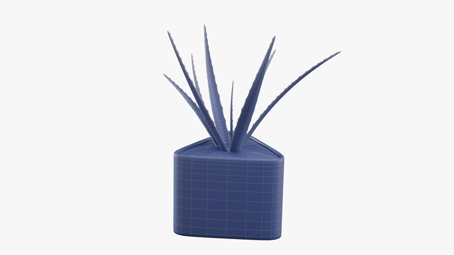 Plant 3 aloe vera 3D model_12
