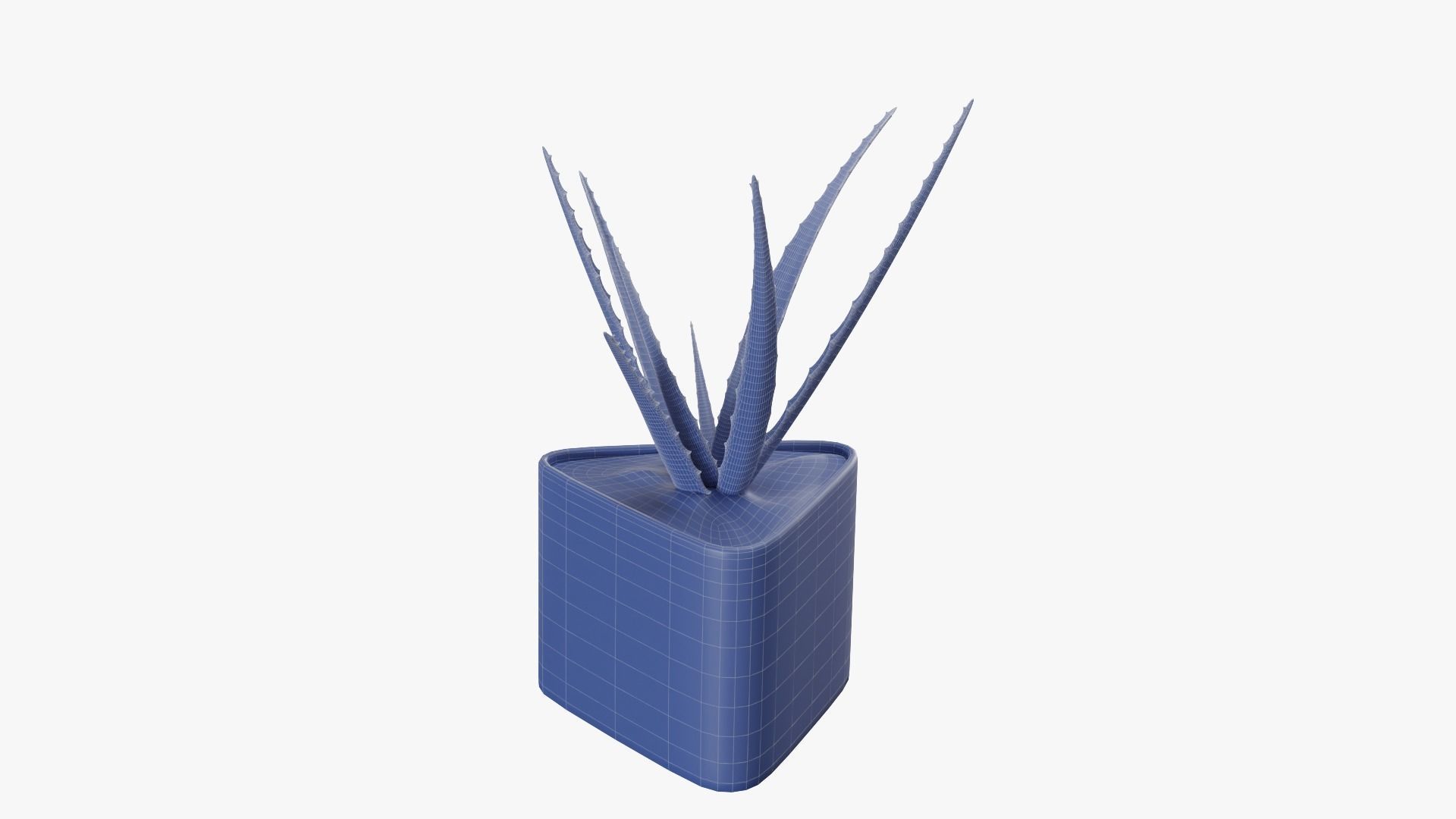 Plant 3 aloe vera 3D model_11