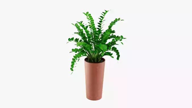 Plant 4 in vase
