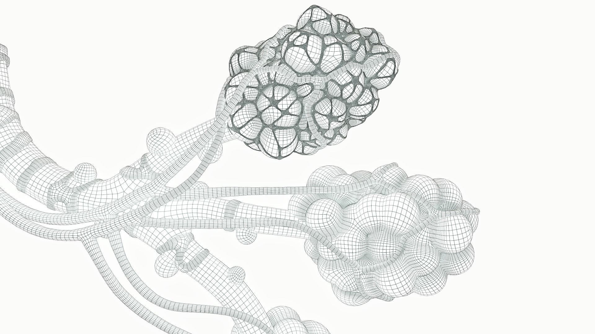 Realistic Human Bronchi Alveoli Anatomy 3D model_17