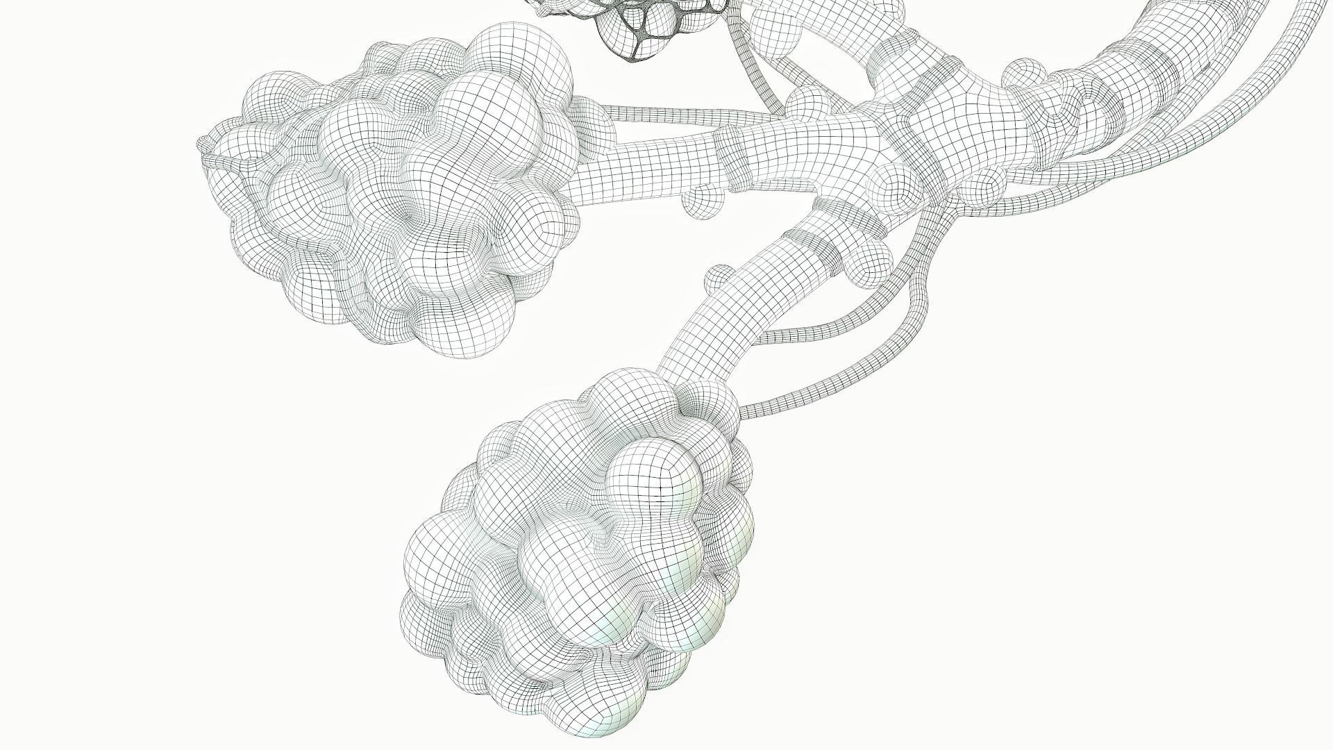 Realistic Human Bronchi Alveoli Anatomy 3D model_21