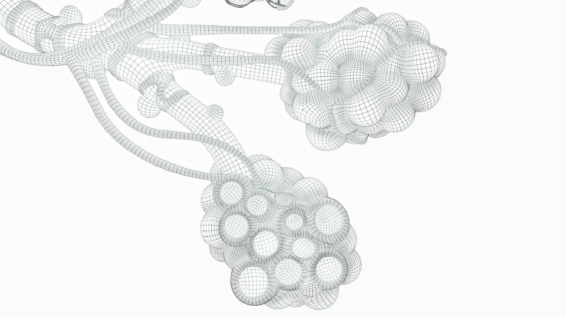 Realistic Human Bronchi Alveoli Anatomy 3D model_16