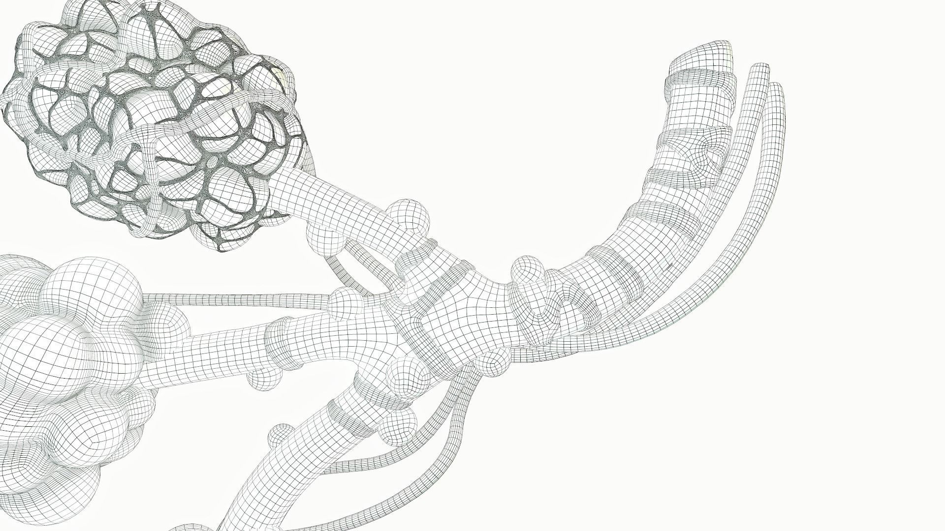 Realistic Human Bronchi Alveoli Anatomy 3D model_19