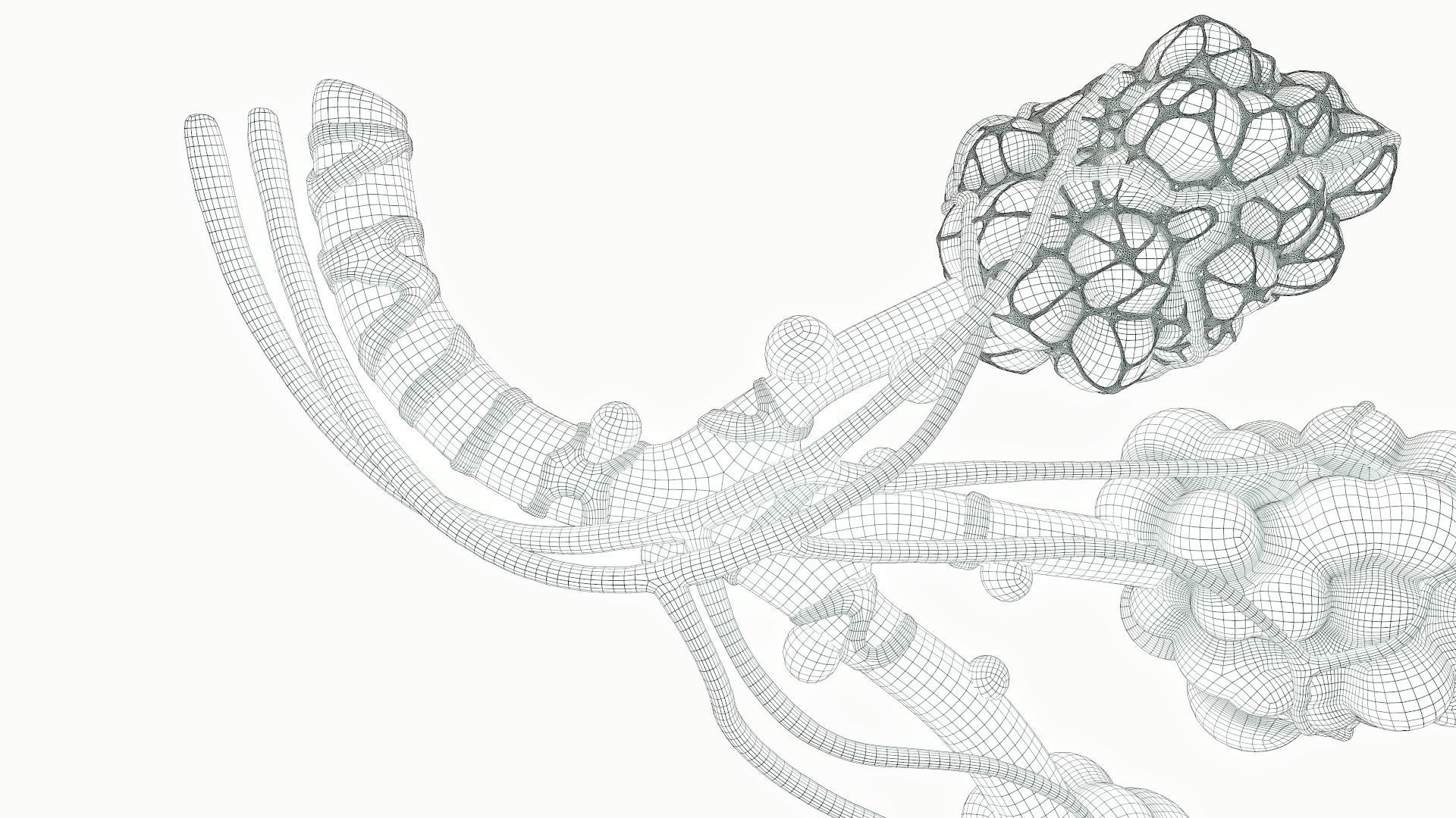 Realistic Human Bronchi Alveoli Anatomy 3D model_18