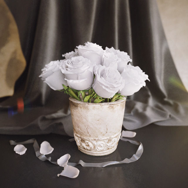 Flowers pack 3D model_33