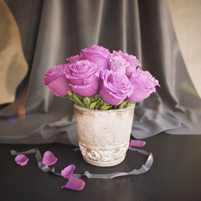 Flowers pack 3D model_32