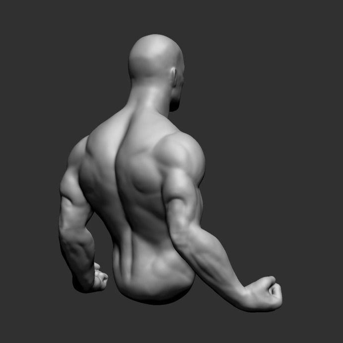Male Upper Body 3D model_3